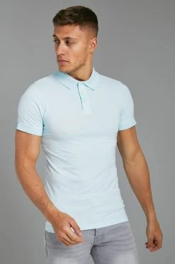 Muscle Fit Short Sleeve Polo